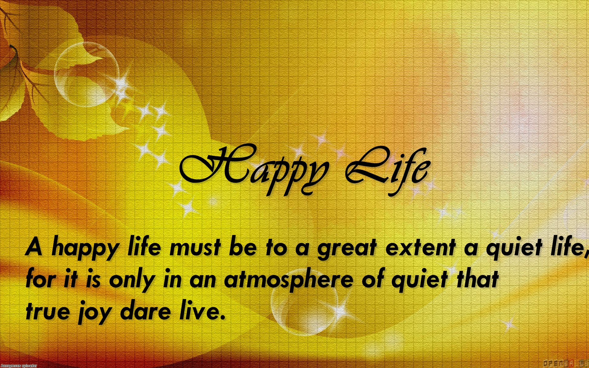 Happy life Quotes | view world round